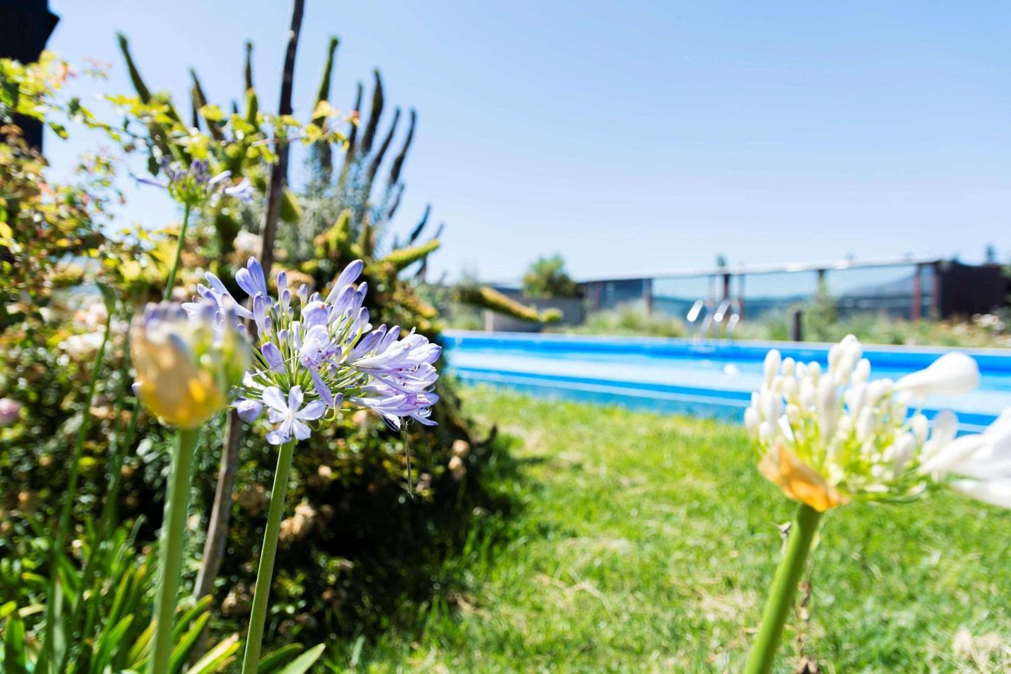Park Inn By Radisson Los Olivos De Vallenar Zewnętrze zdjęcie